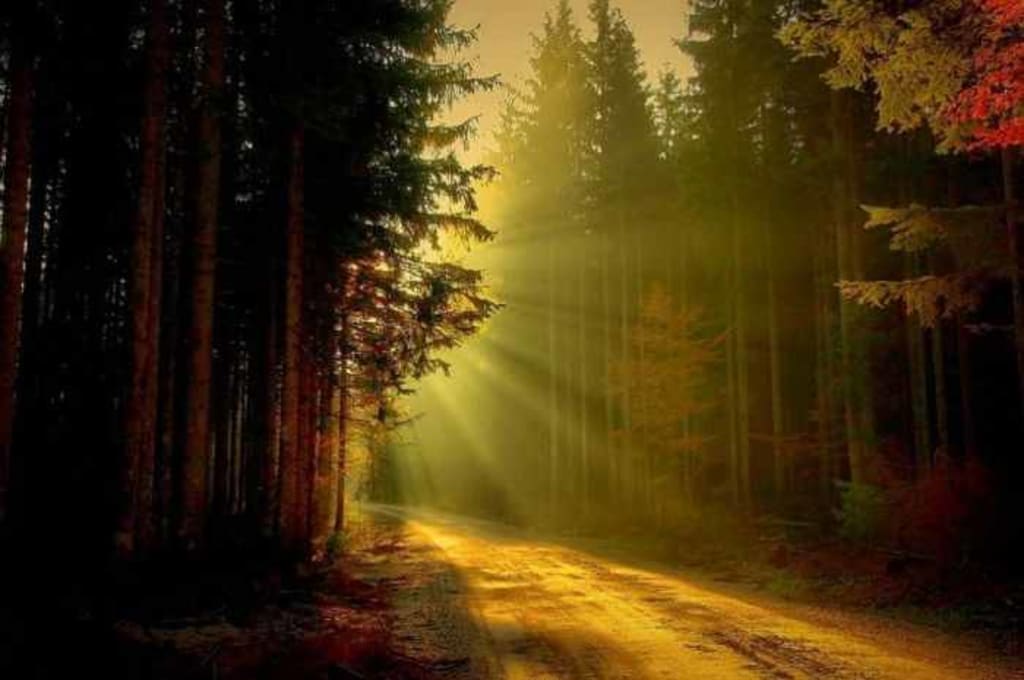 Mənim İnsanıma Məktublar: Məktub 2: Bu yolun sonu aydınlıqdır